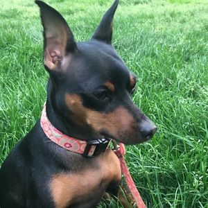 Meet your Posher, Bethany